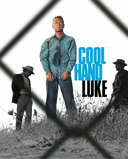 فيلم Cool Hand Luke 1967 مترجم حصري مشاهدة مباشرة أونلاين