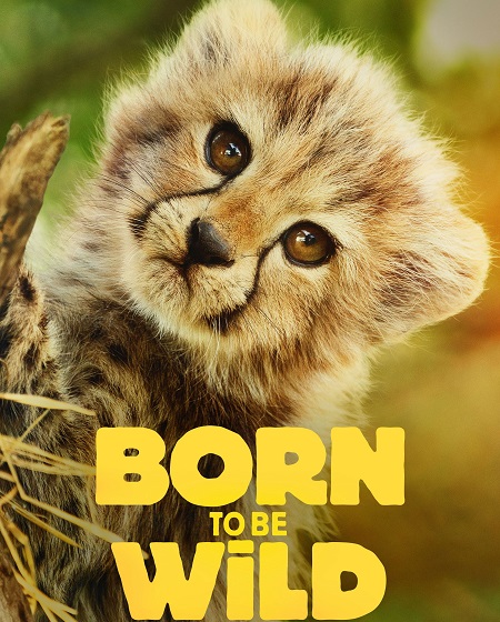 مسلسل Born to be Wild الموسم الاول الحلقة 6 مترجمة
